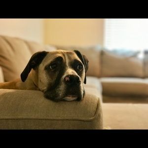 Meet your Posher, Laura